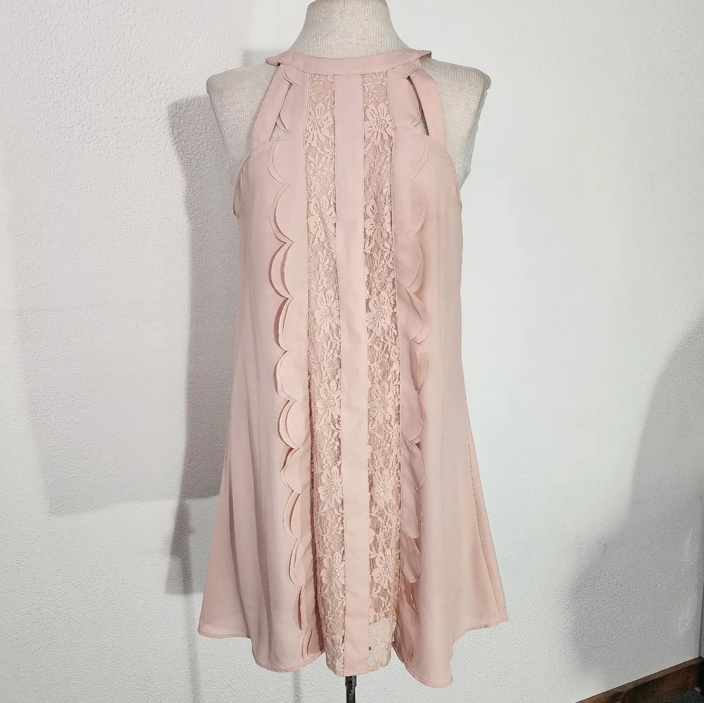 Altered States Dress Lace Panel with Scalloped Ruffle Trapeze Style Pink Size M - Picture 11 of 14